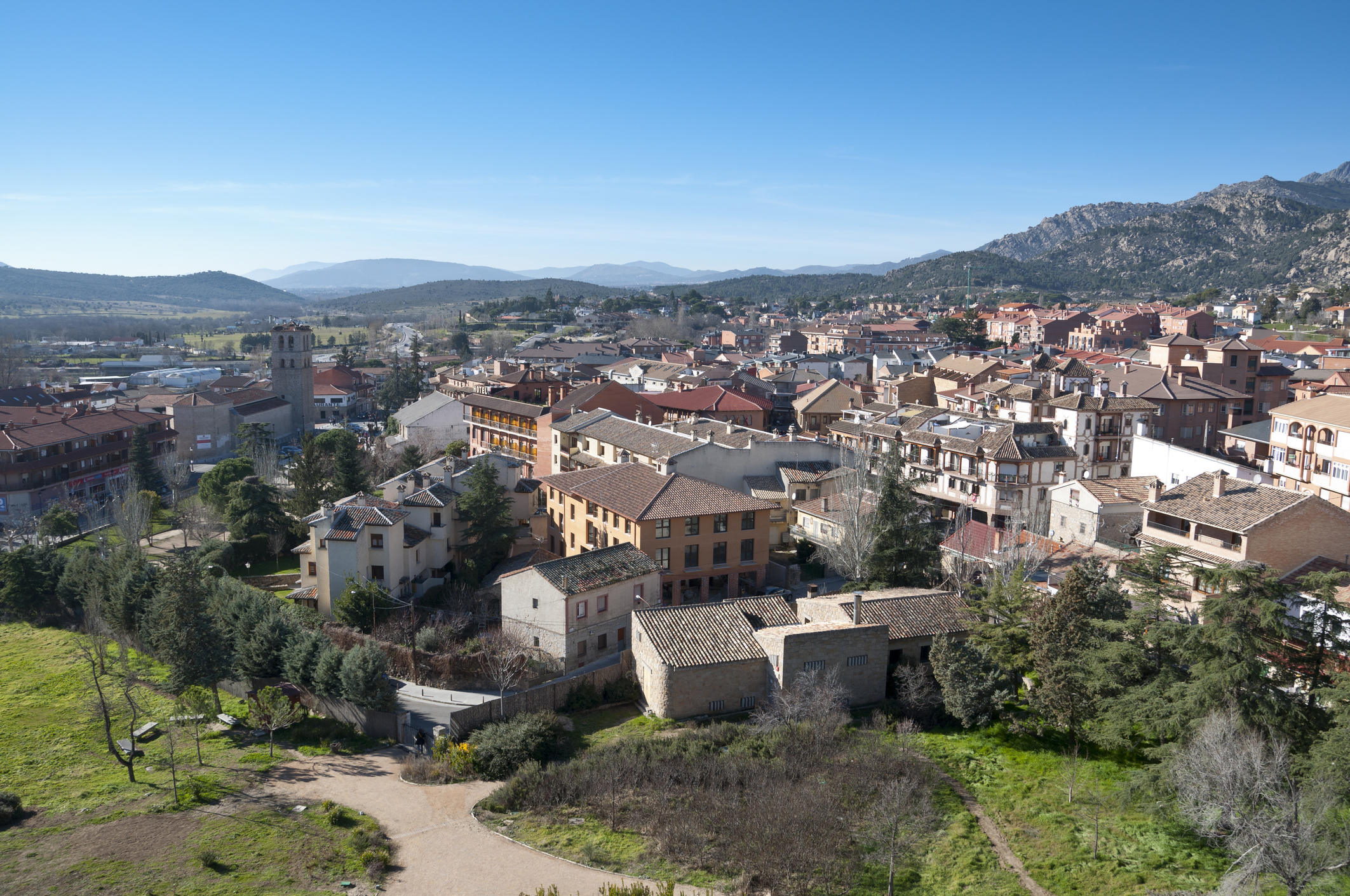 Media Image
